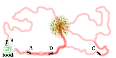 Ant Colony Optimization Diagram